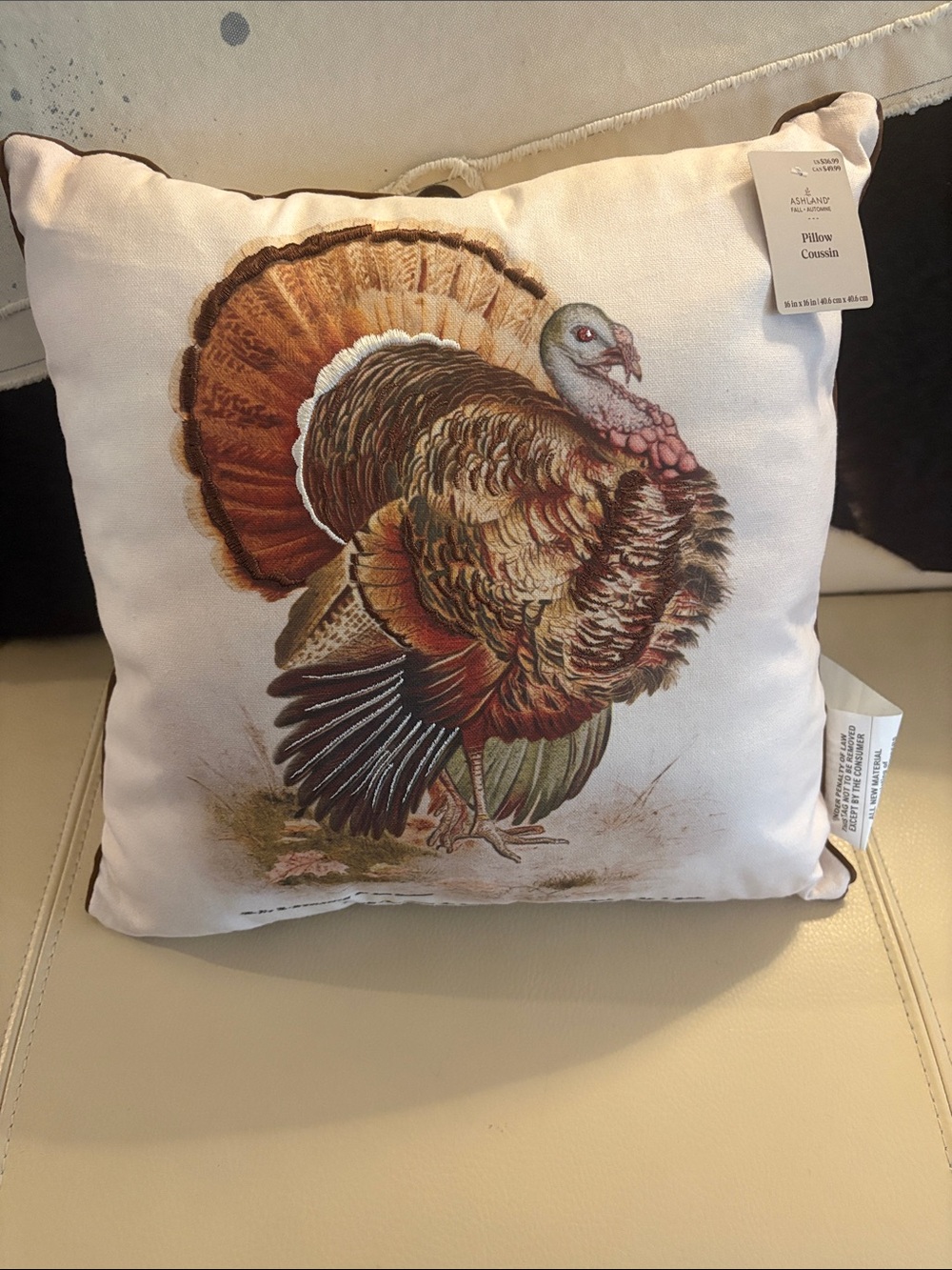 Ashland Multicolor Turkey Accent Pillow - Cream Background